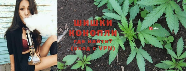 трава Лабытнанги