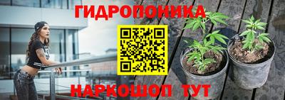 мдпв Кандалакша