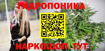 мдпв Кандалакша