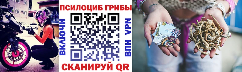 Галлюциногенные грибы мухоморы  где купить   Чернушка 