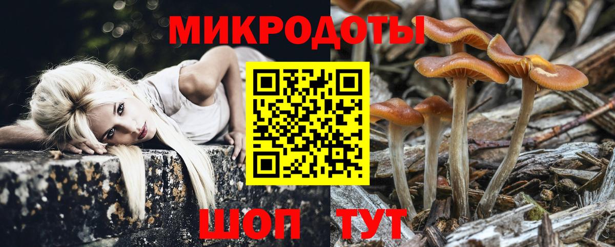 Галлюциногенные грибы MAGIC MUSHROOMS  Псилоцибиновые грибы MAGIC MUSHROOMS  Чернушка  Вход с VPN 