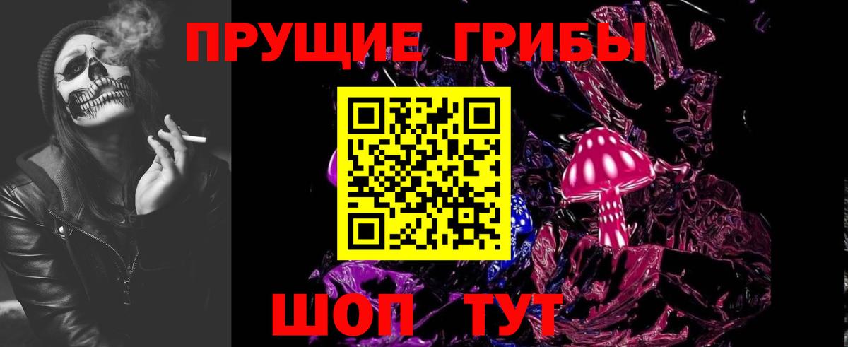 Псилоцибиновые грибы Psilocybine cubensis Чернушка